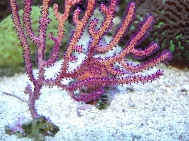 DSCN2110.jpg