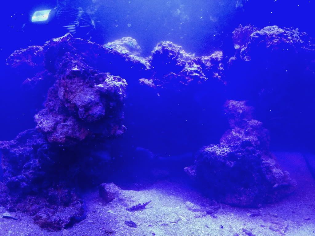 IMG_1668.jpg