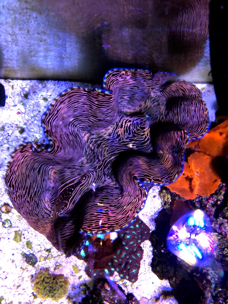 6b5357260e81298d2c1cb3c7841021f5.jpg