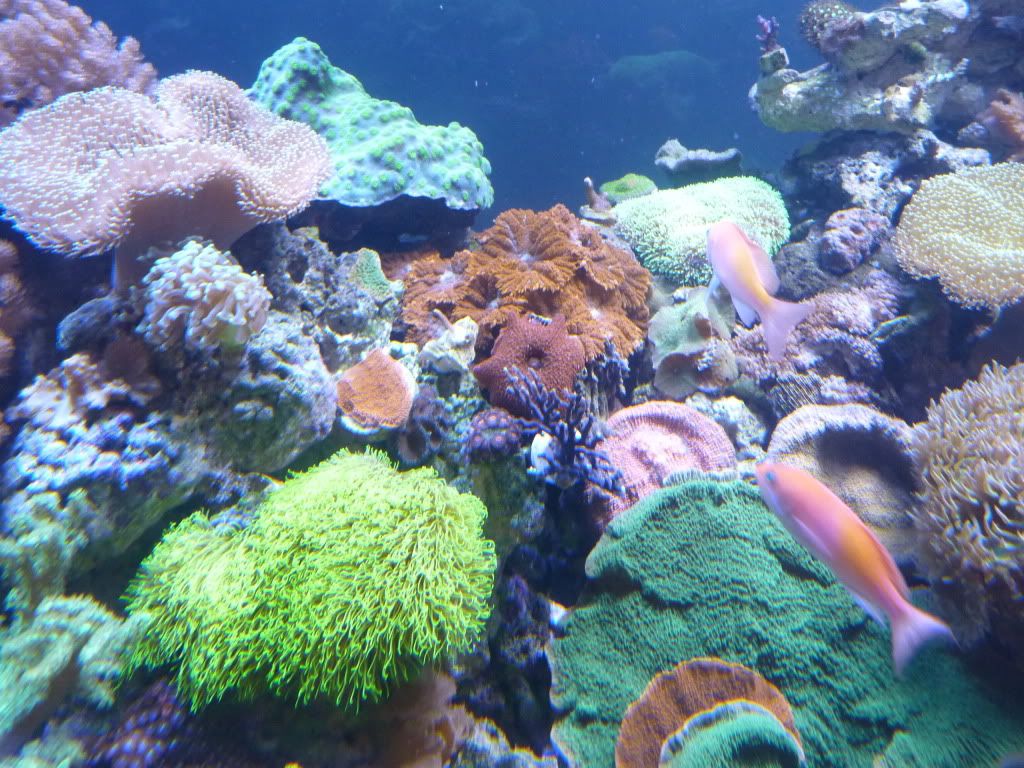 P1070427.jpg