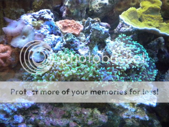 DSCN1438.jpg