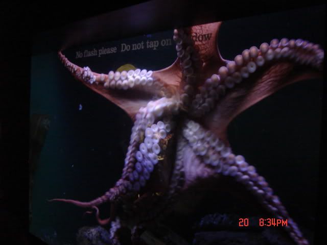 DSC01377.jpg
