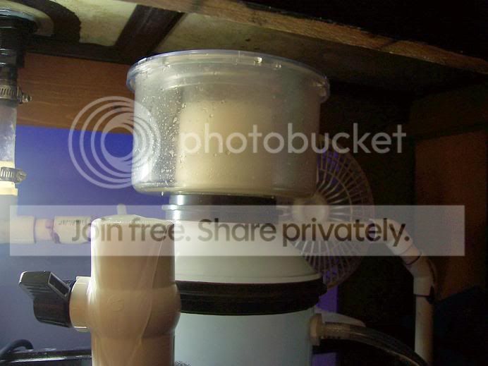 000_40831.jpg