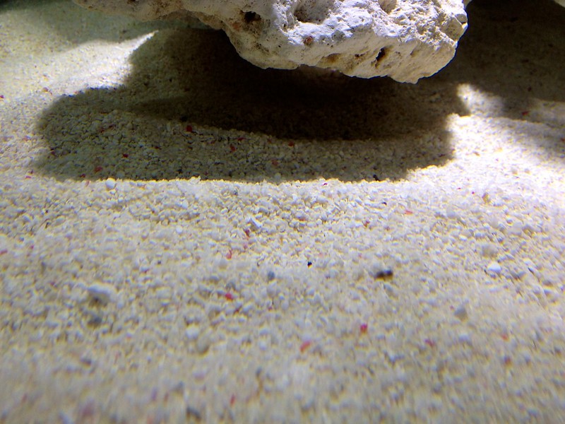7185306812_50d07aa3b2_c.jpg
