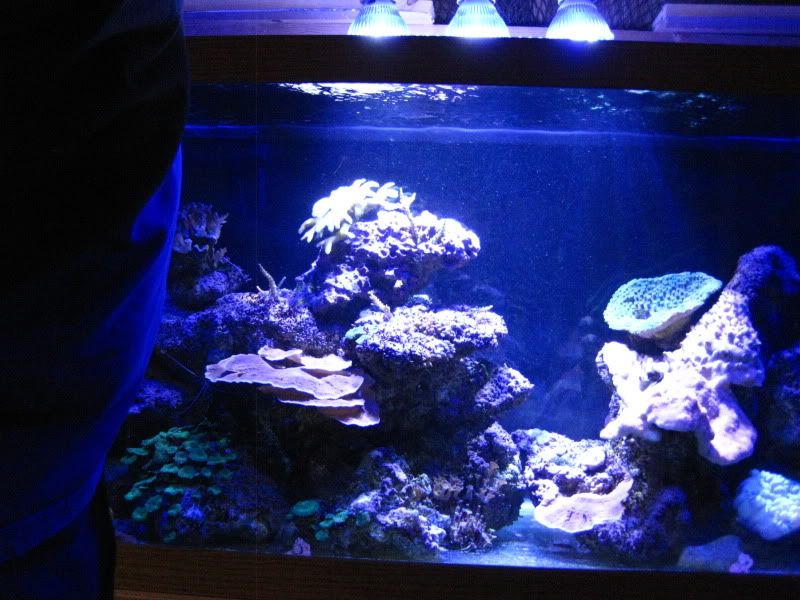 2010230.jpg