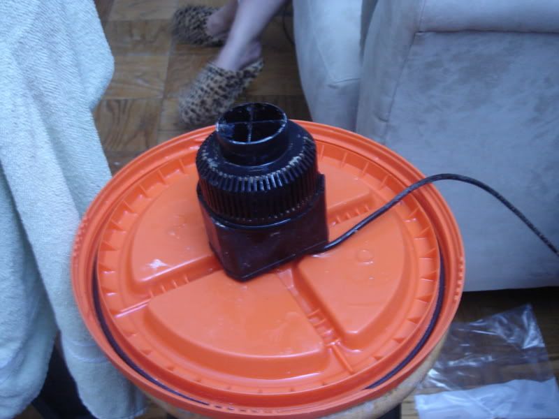 2007_1127tunze0030.jpg
