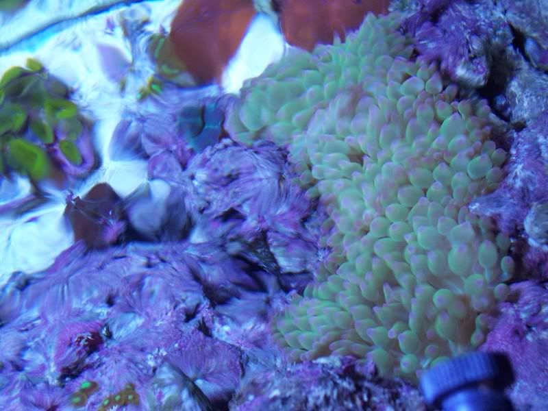 100_3722.jpg