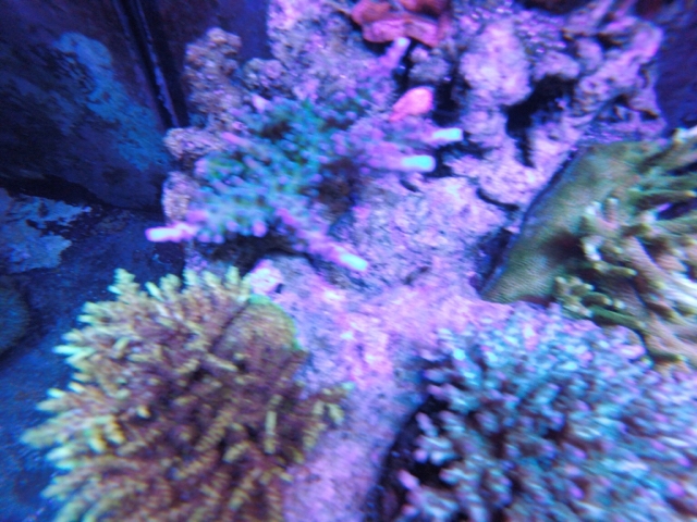 7d608d8e95c61085f11aa07c9806476f.jpg