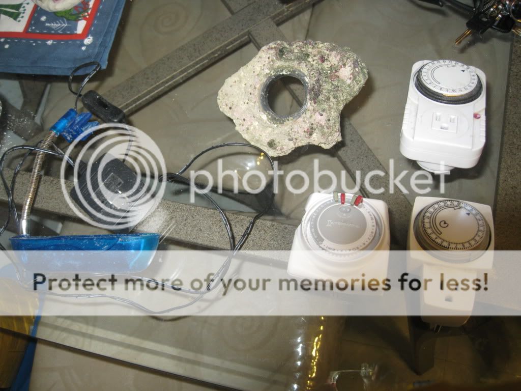 Picture003-1.jpg