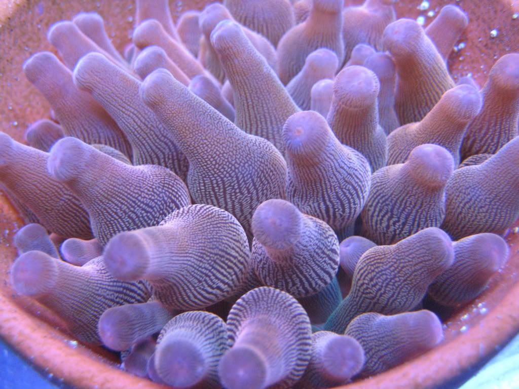 8c007bf0.jpg