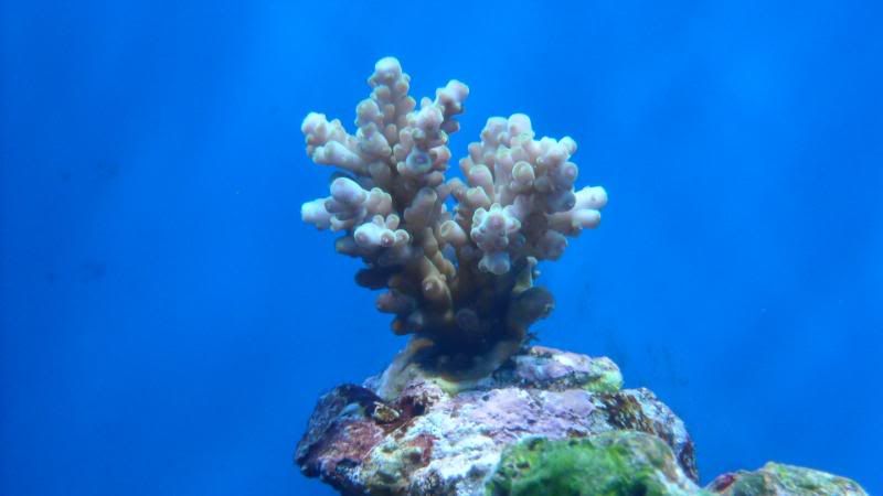 DSCN1022-1.jpg