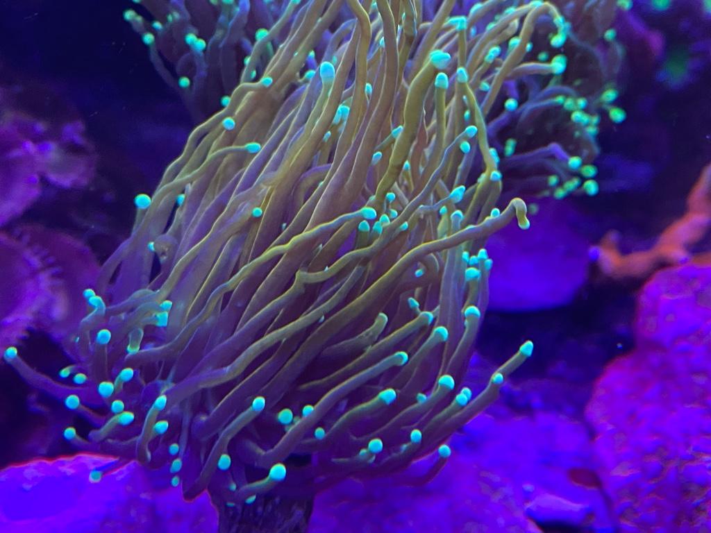 71b88aa1ecec71a49faddacd4c10eb6d.jpg