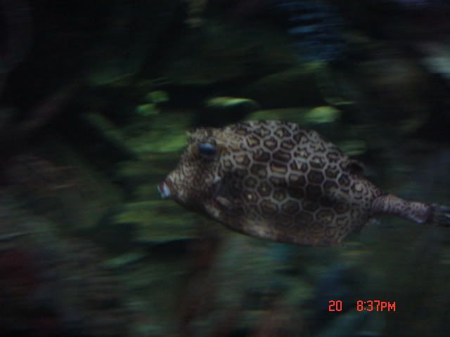 DSC01388.jpg