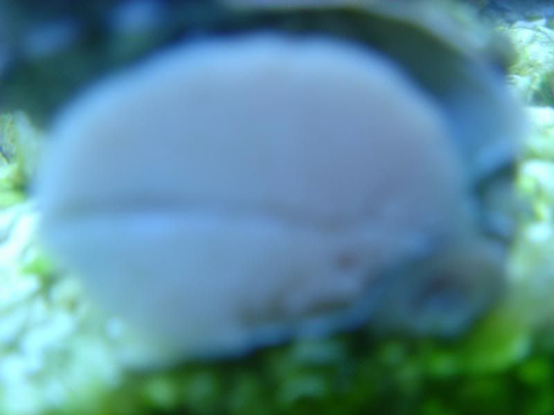 DSC03631.jpg