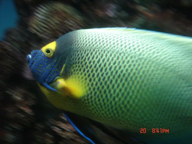 DSC01399.jpg
