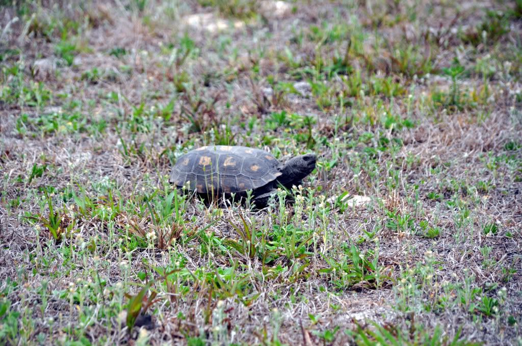 DSC_0837_edited-1.jpg