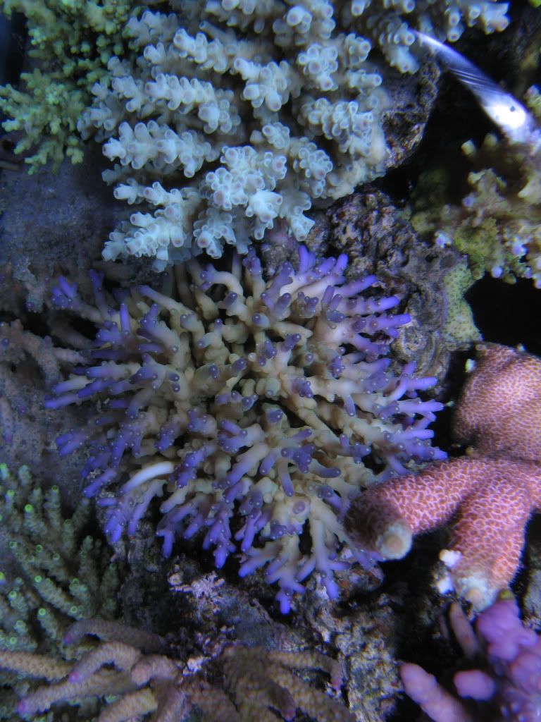 IMG_1048.jpg