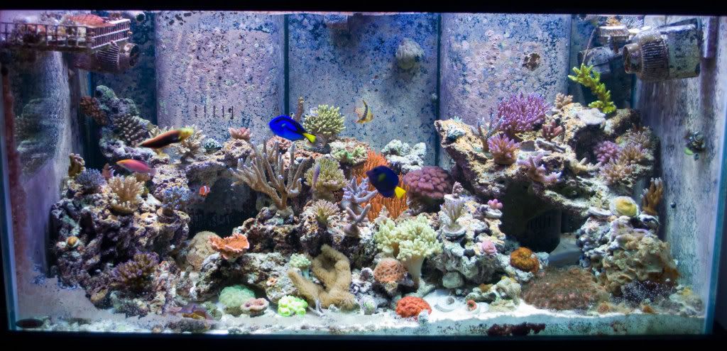 FTS-1.jpg