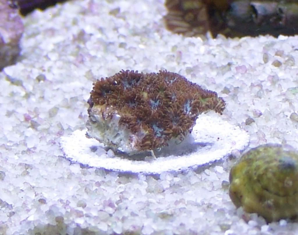 cfcd772e.jpg