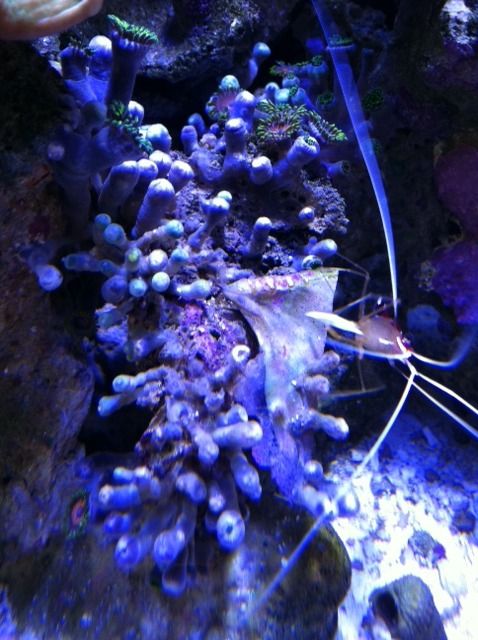 photo11.jpg