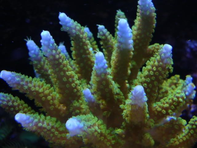 DSC01232.jpg