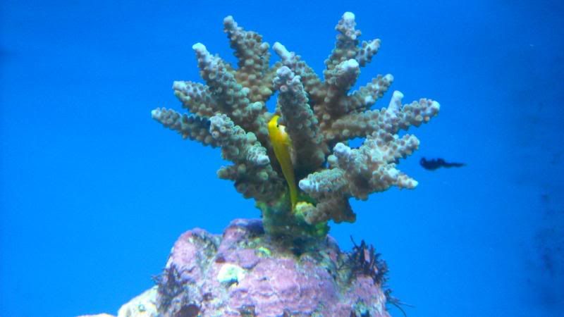 DSCN0736.jpg