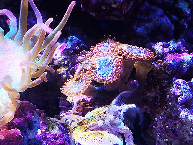 27120894720_6b7394fb05_z.jpg