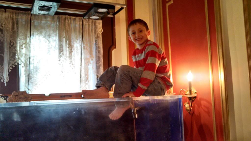 IMG_20131129_142720_751.jpg