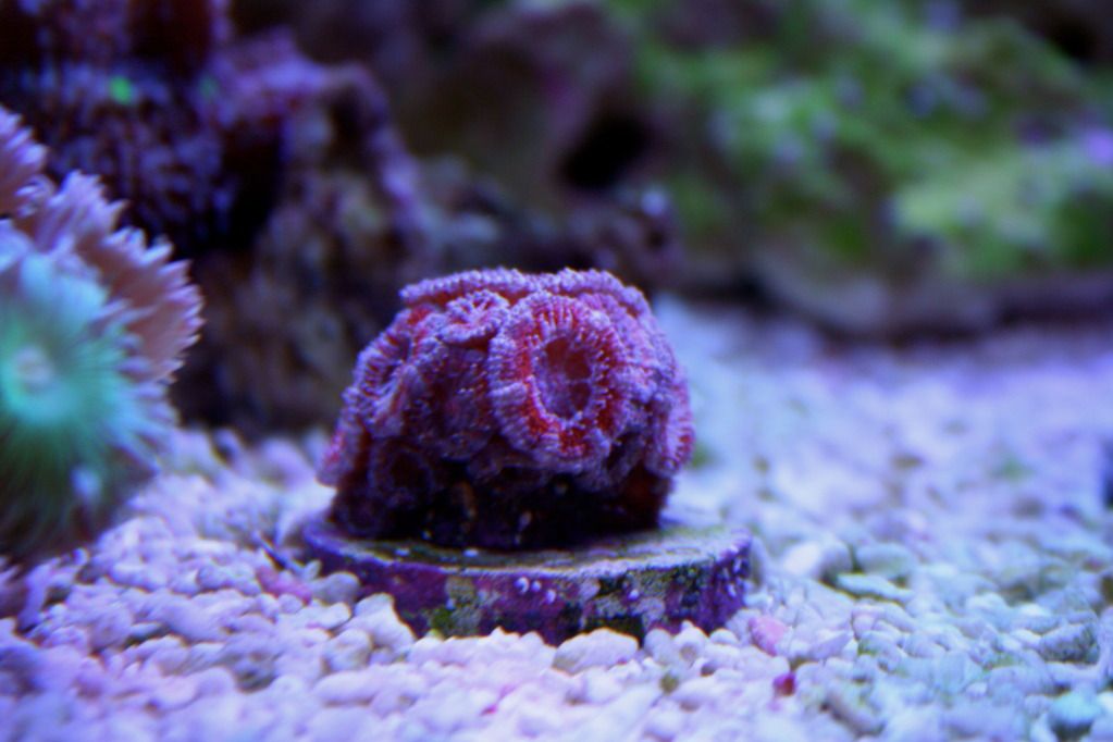 IMG_0155.jpg