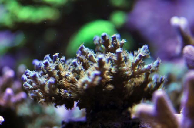 DSC_0661_edited.jpg