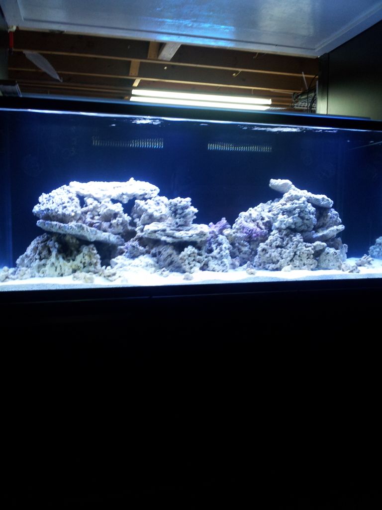 2012-04-07202209.jpg