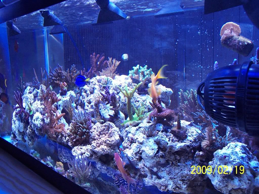 100_4946.jpg