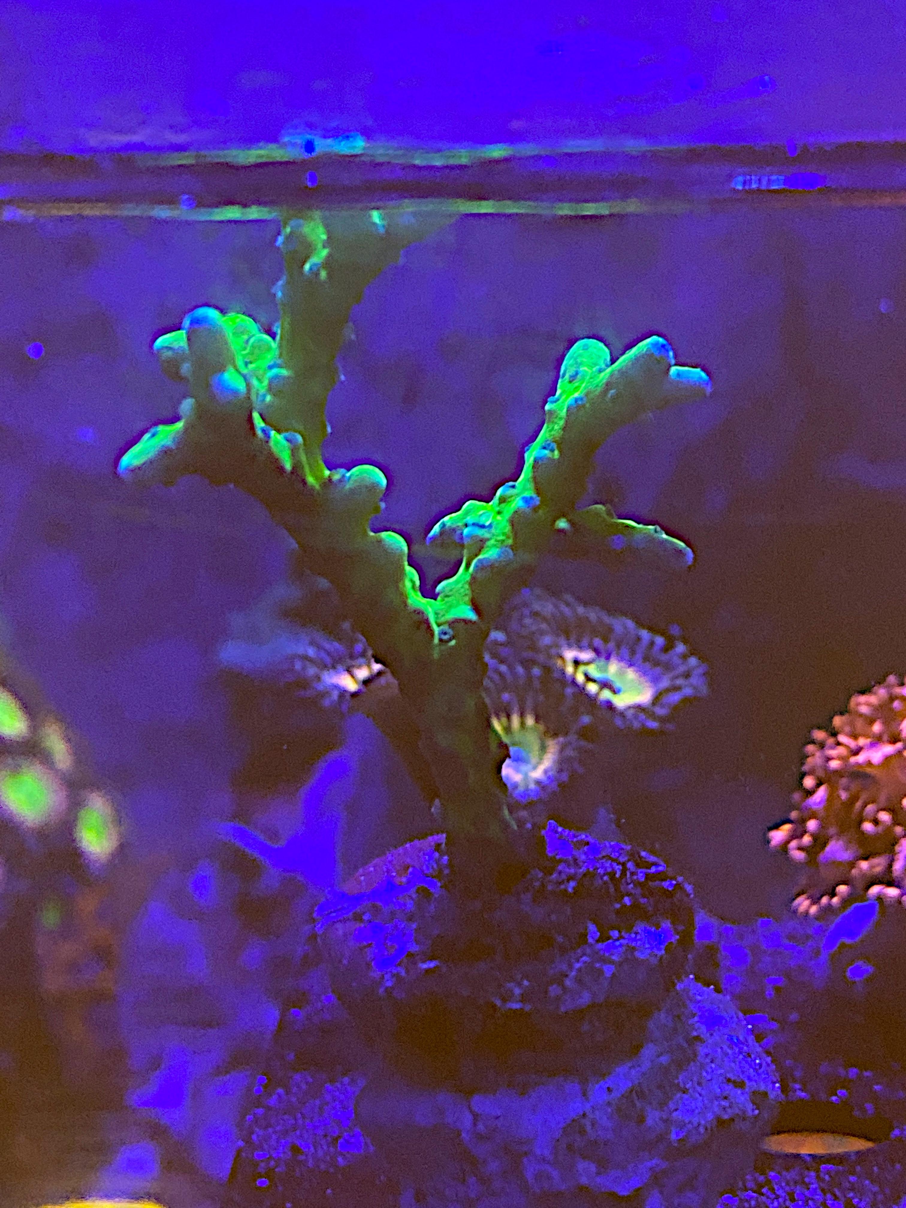 f5401abaa94750e7b1978f7917a0ae14.jpg