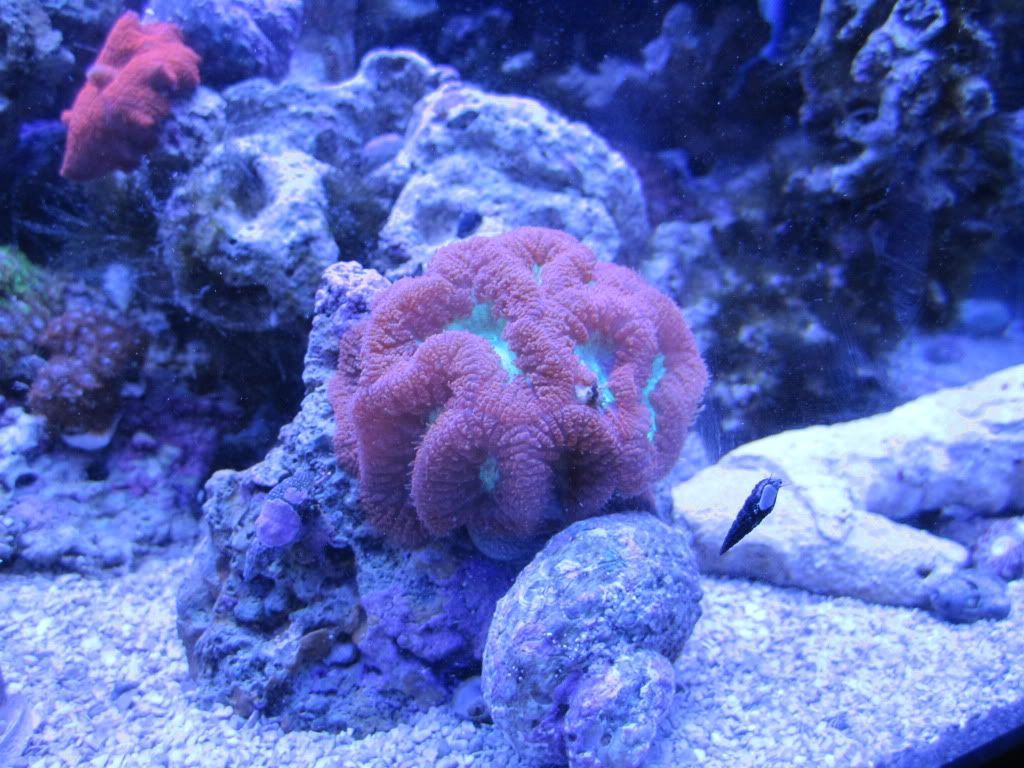 IMG_0021.jpg