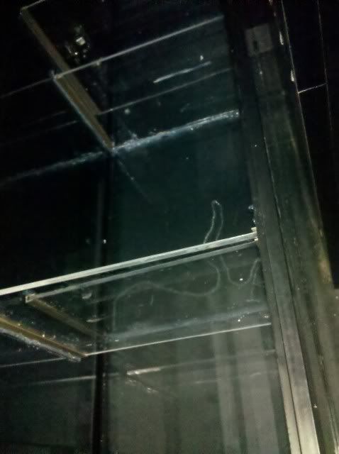 IMG_20110406_153446.jpg