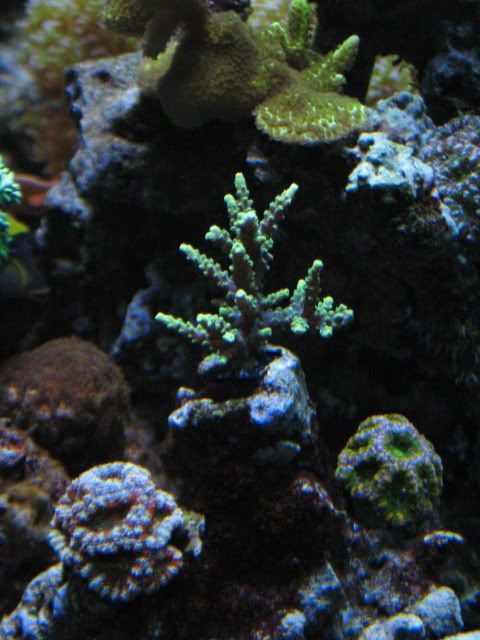 tank020916.jpg