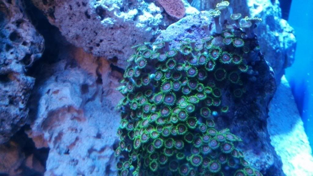 IMG_20131209_190304_849.jpg