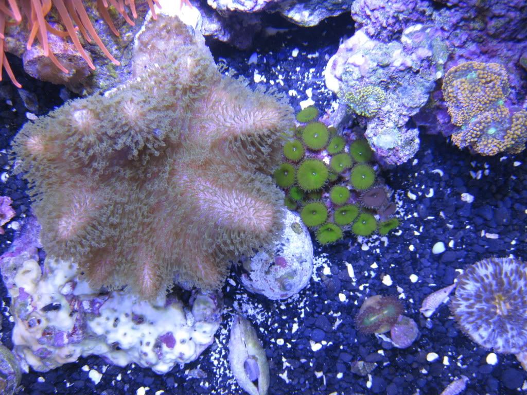 IMG_1754.jpg