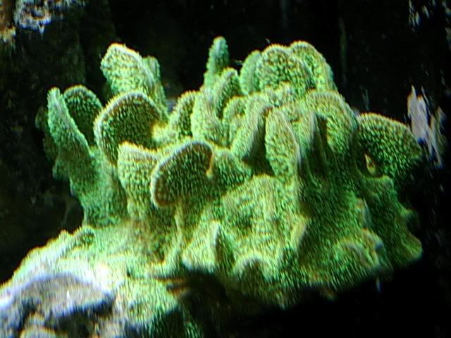 DSCN0278.jpg