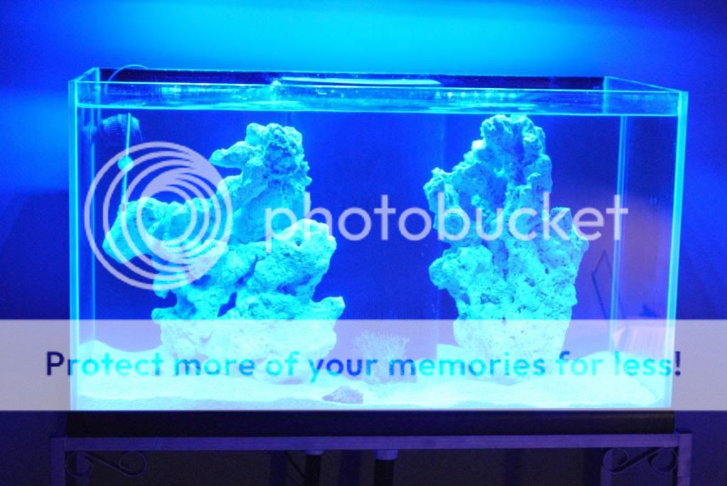 DSC_0017_zps5ad3f8e4.jpg