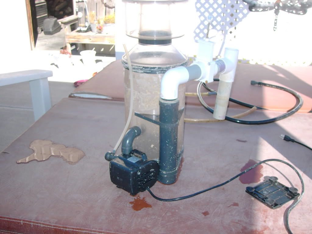 KIF_0198.jpg