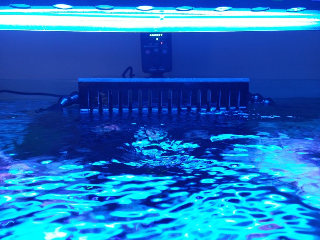 20150321_155459_zps7qyrar10.jpg