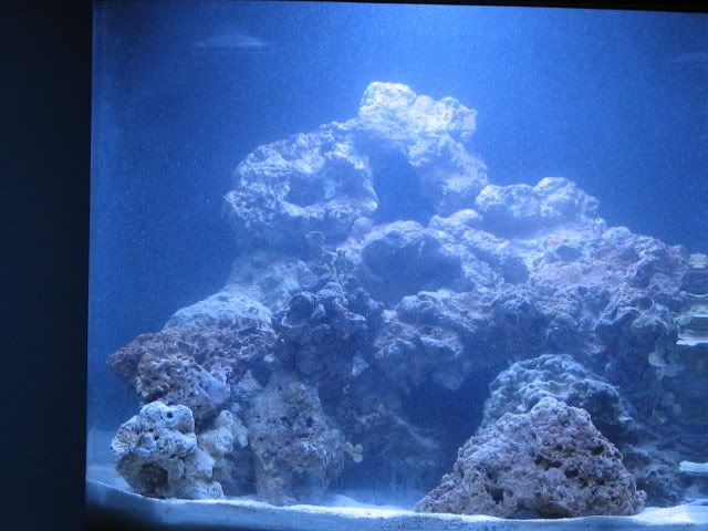 IMG_1052.jpg