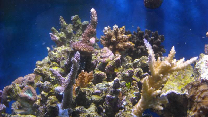 DSCN1310.jpg