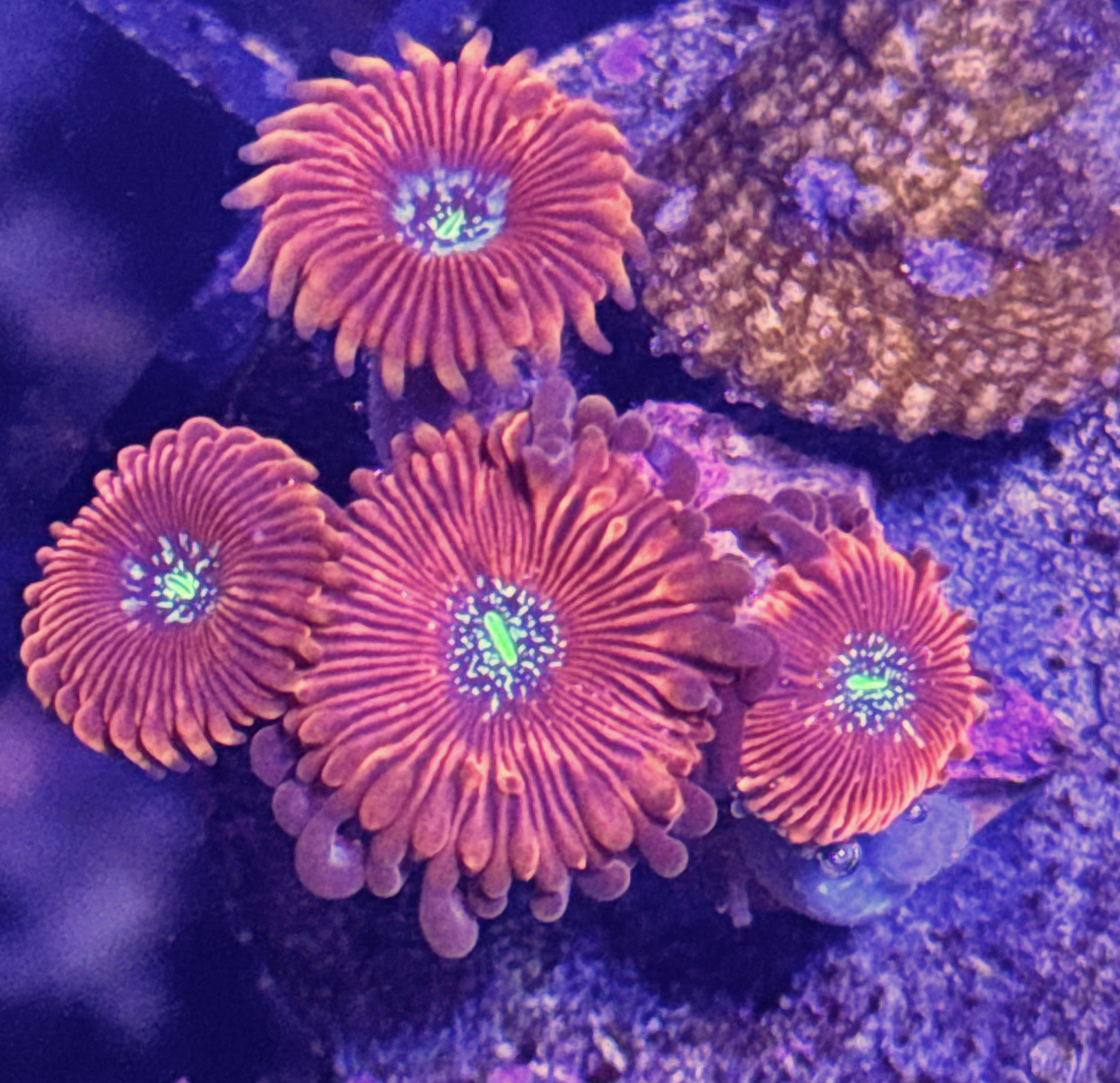 61277607ec7e4c373ec897f6d92d37ca.jpg