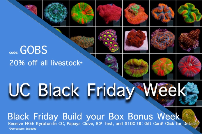 BF20off-GOBS-all-week.jpg