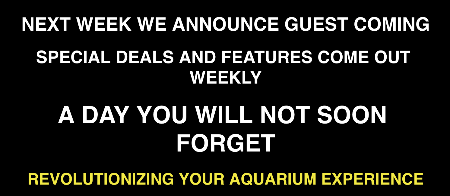 2YqjJjO.png