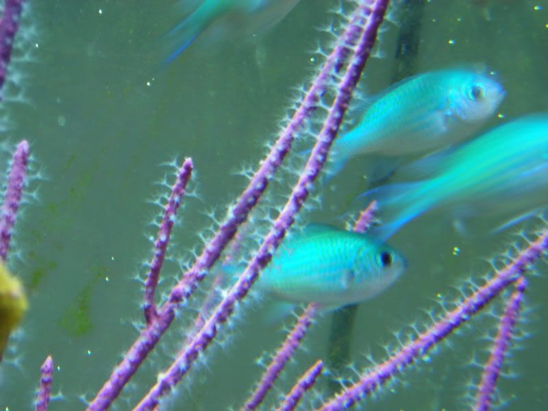 DSCN2124.jpg