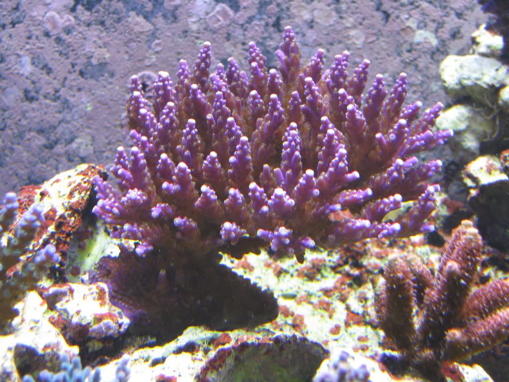 IMG_0195.jpg
