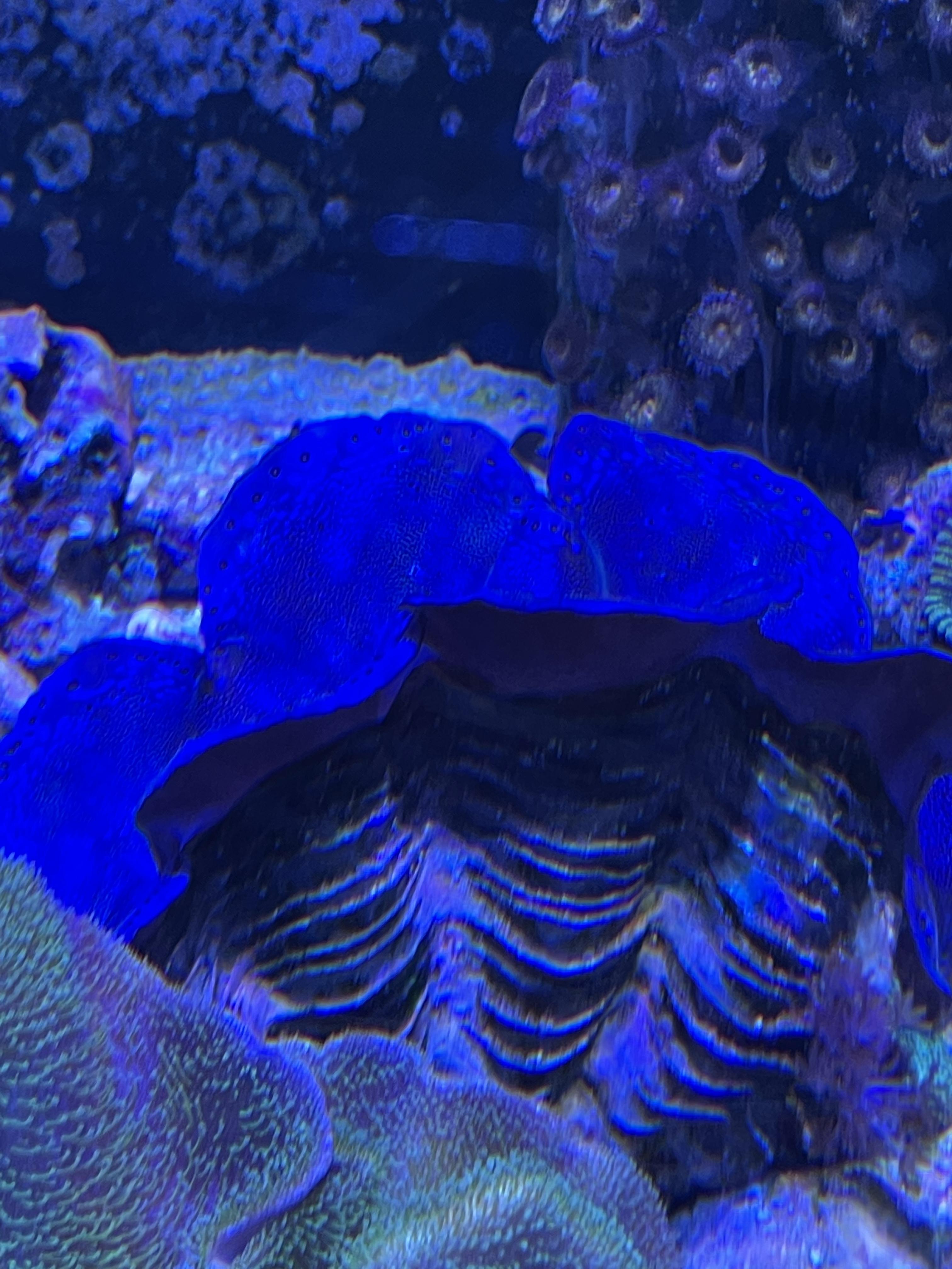 f04213884bbda291bdd434ed8e519d20.jpg